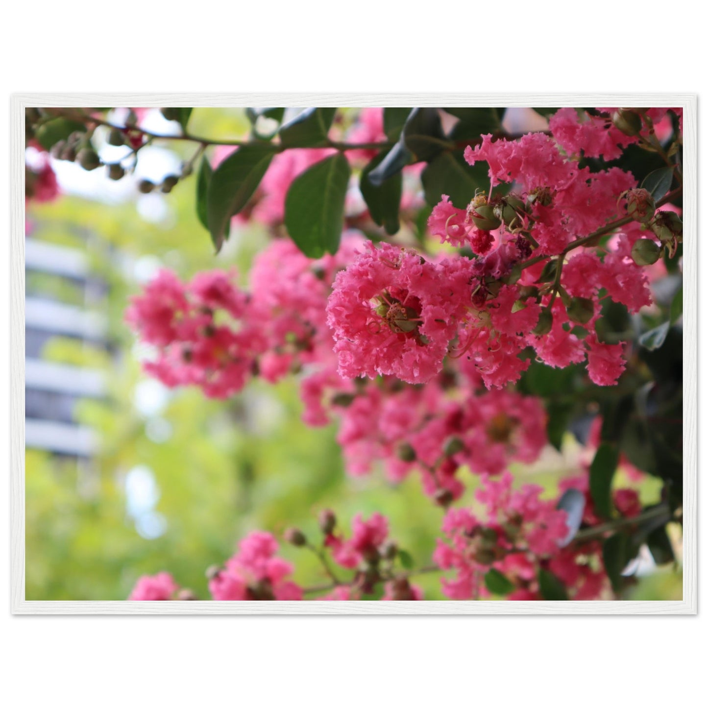 01c93409-06c5-43dd-a1df-e76e0ea62b17