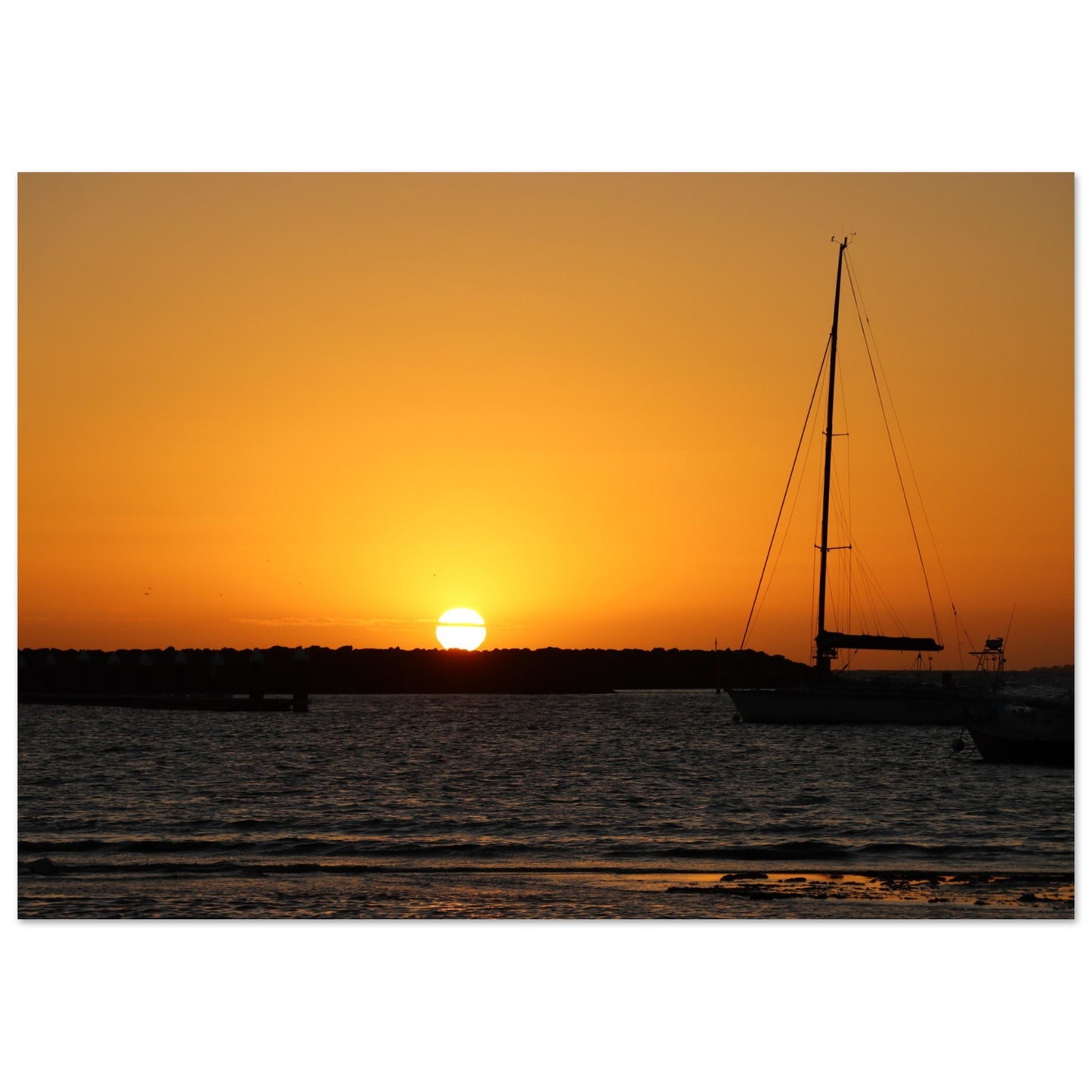 041970cb-c734-41d2-856a-fd23a1012567