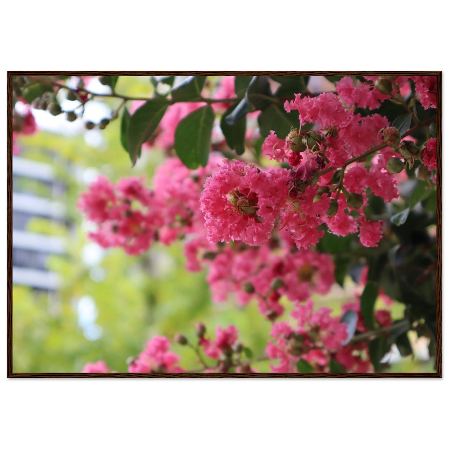 048ad808-a16c-4858-87b4-a0f2d24c1537