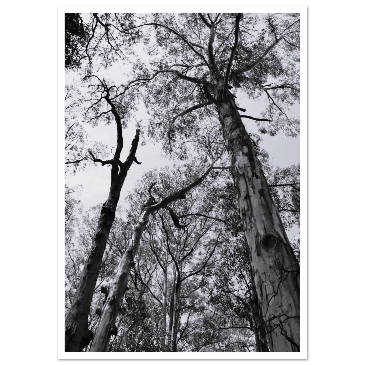061b975f-c681-470a-90d3-cf84b4f2847f