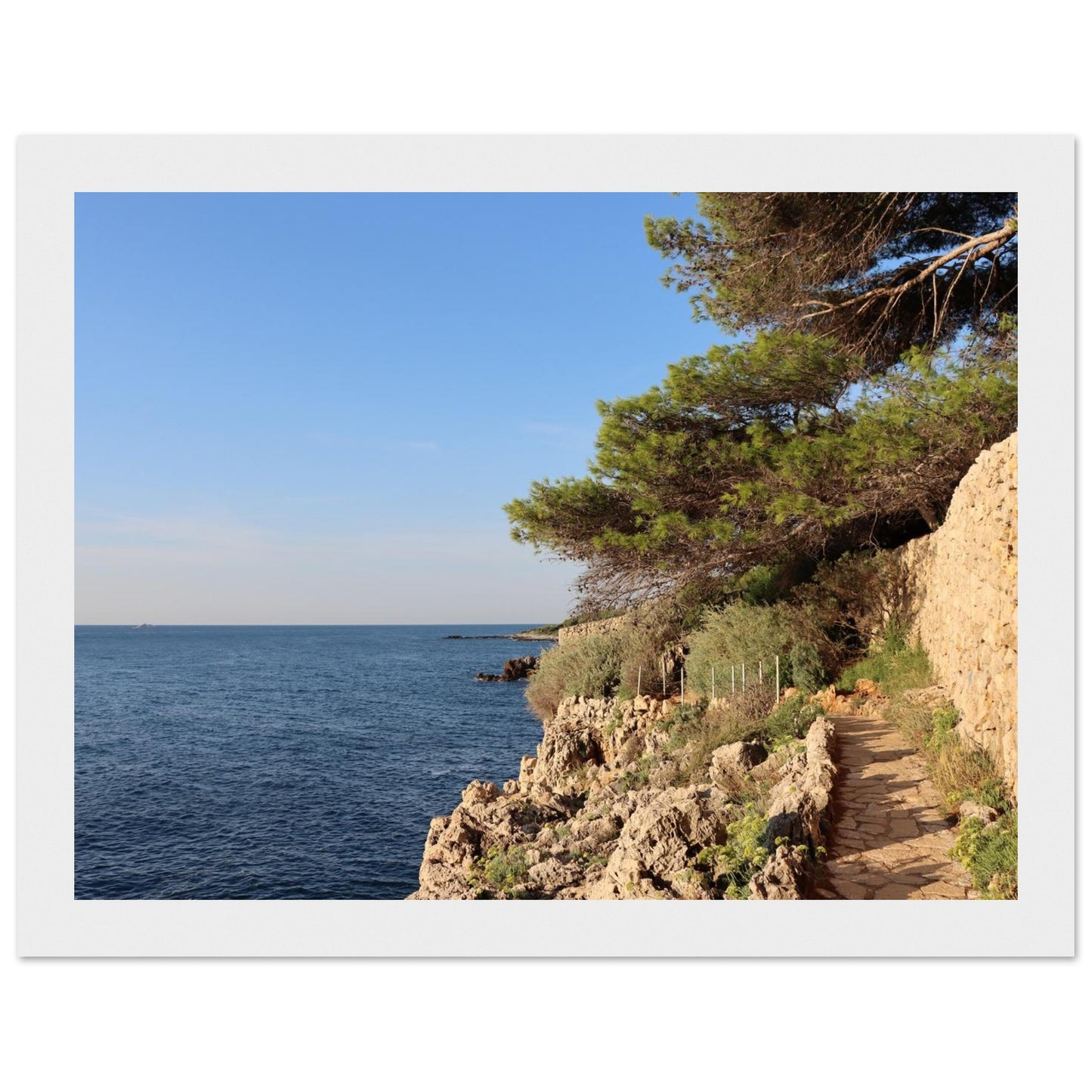 07560d22-2962-48ae-be50-d5f559c73c40