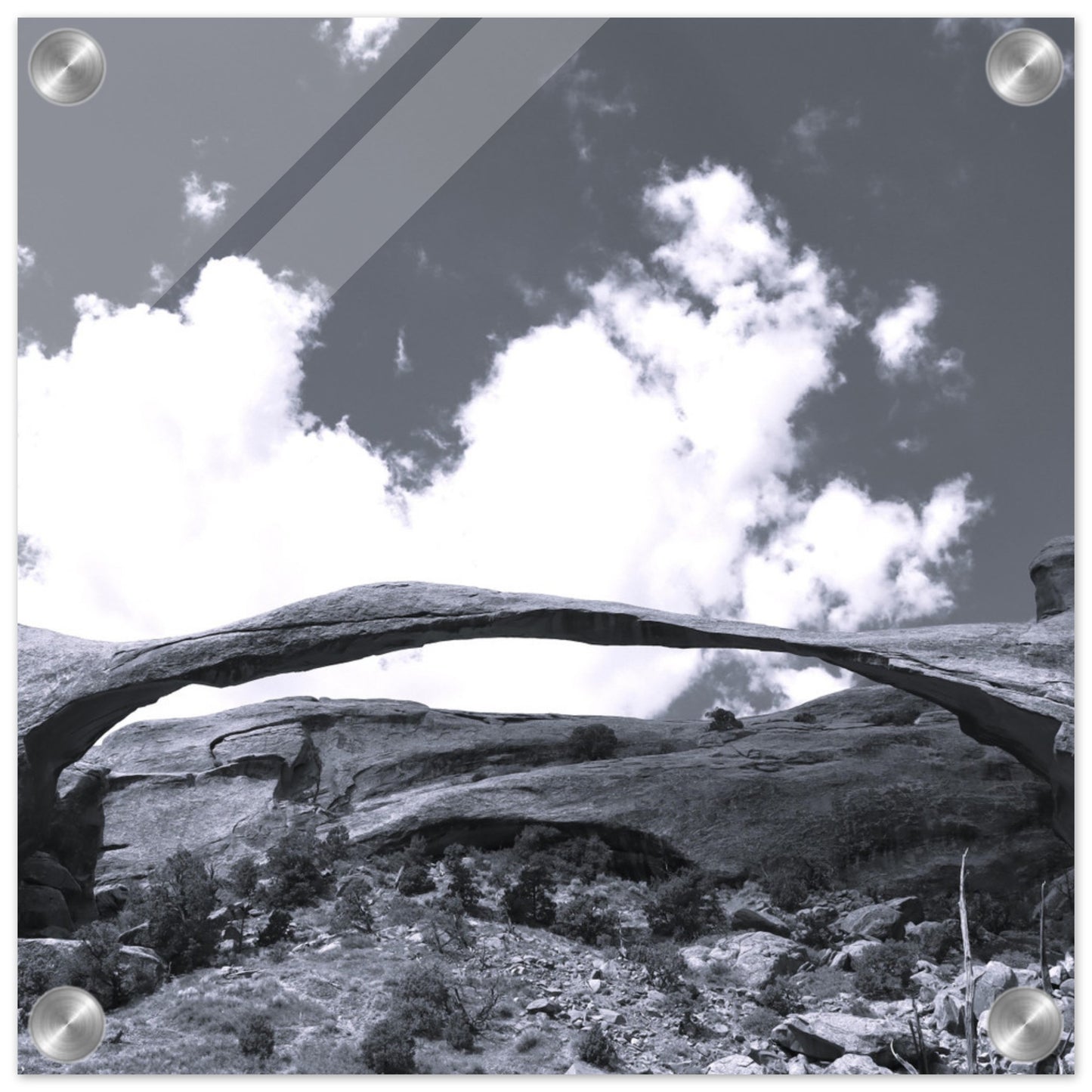 088b6c26-aeb9-4600-9577-adc5255416b8