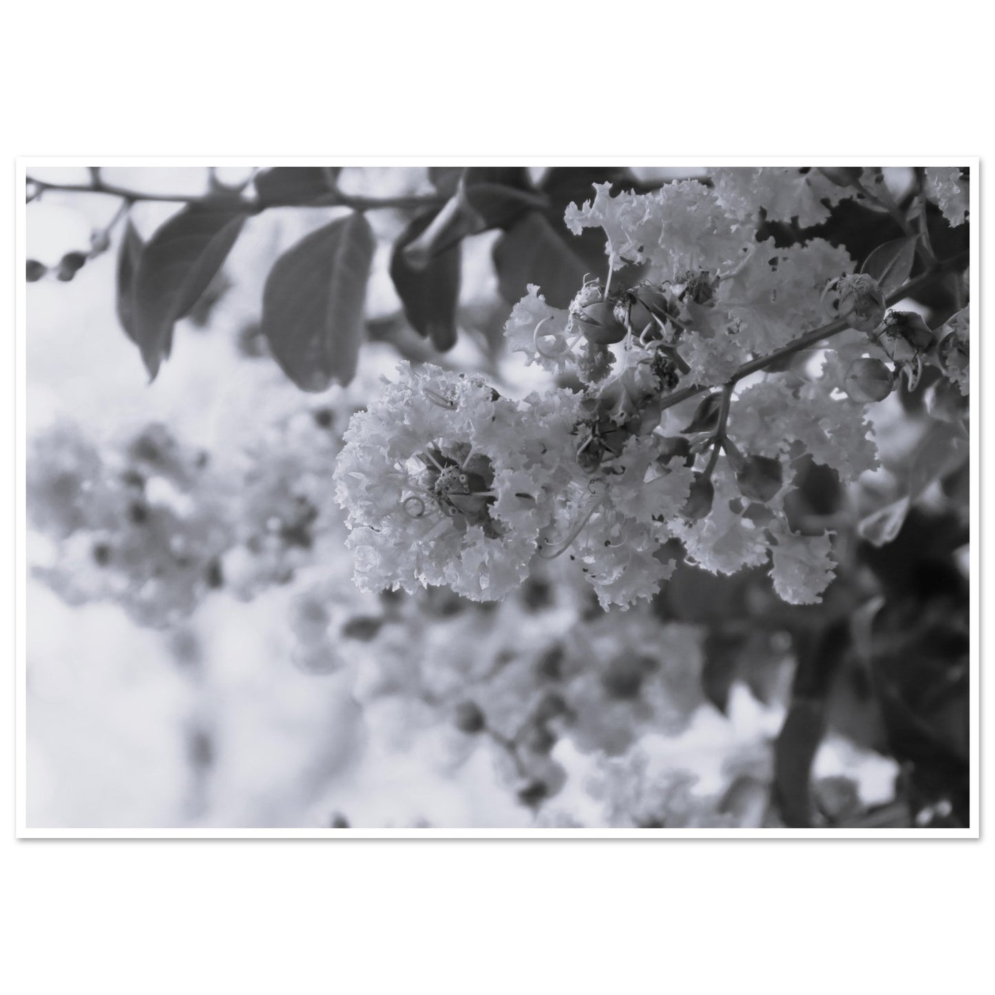 08bfaf5d-5048-46dd-a774-7bc440dd35e0