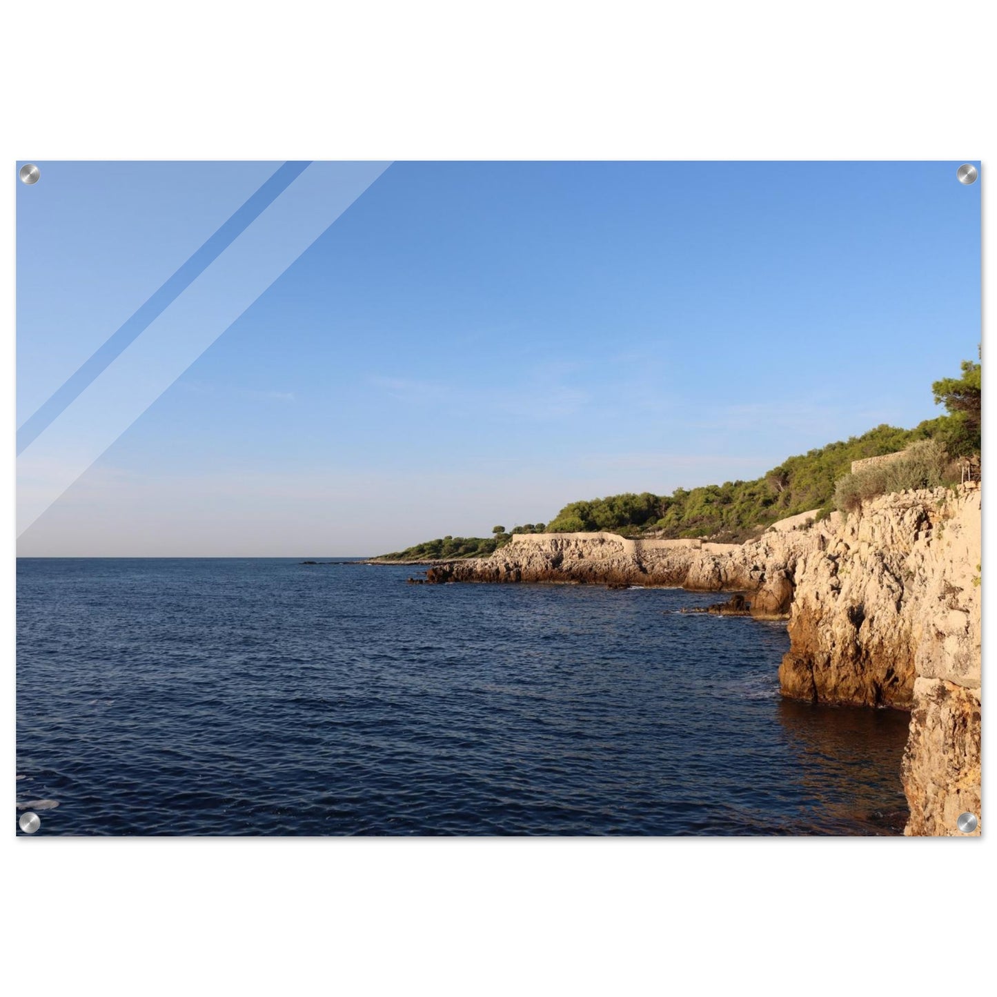 0950bd58-2174-4c1d-a9ba-a1538a9222e0