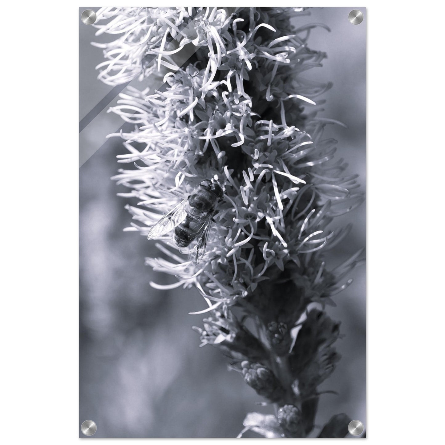 0b076330-47de-4304-8aff-b0104c53b82f