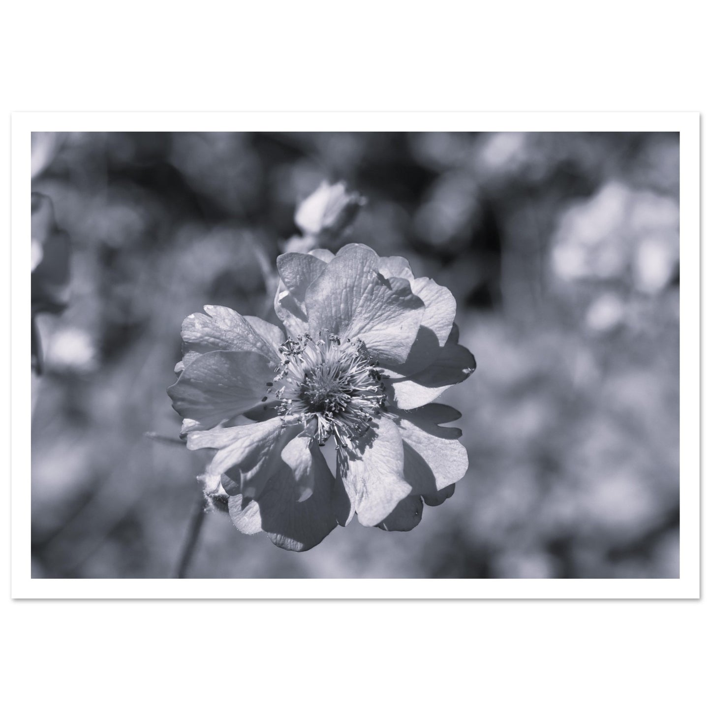 0cb27449-7c32-4e02-8fed-7a63930bd2f6