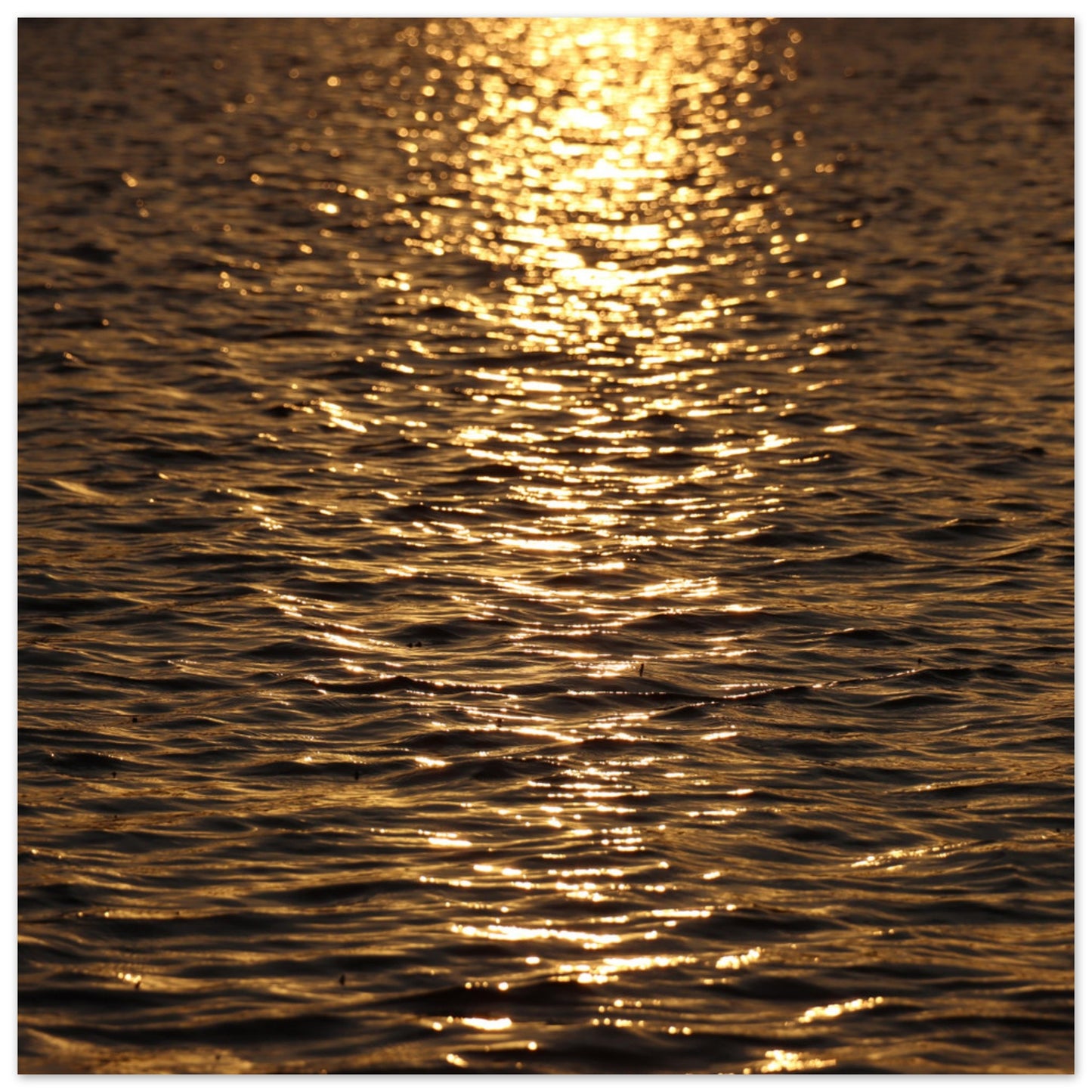 0d7d9a71-2b04-439d-ba82-aef5d4367143