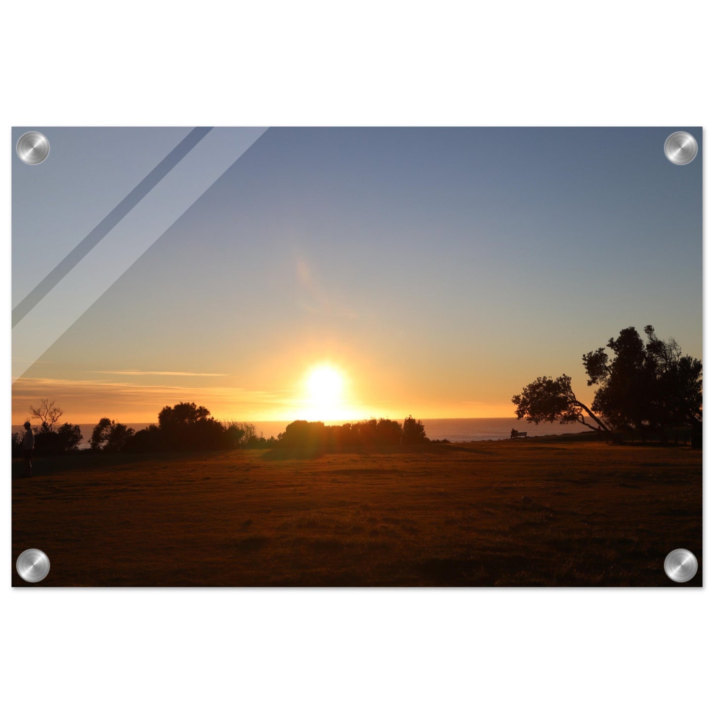 0d8c1541-b1ad-47a2-a002-8c95a485c427