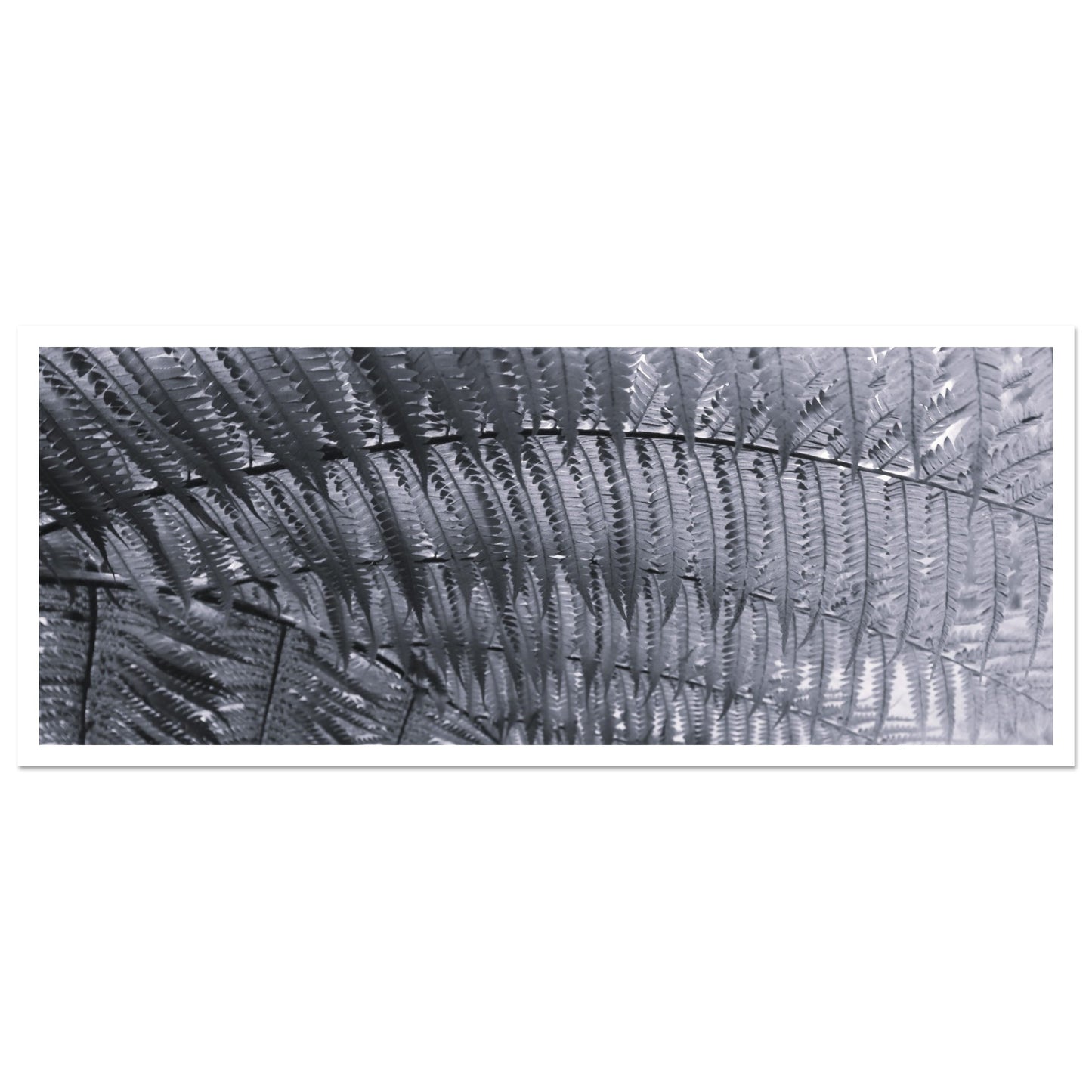 0d9f2438-3d5f-4ffd-bc36-653de56546c0