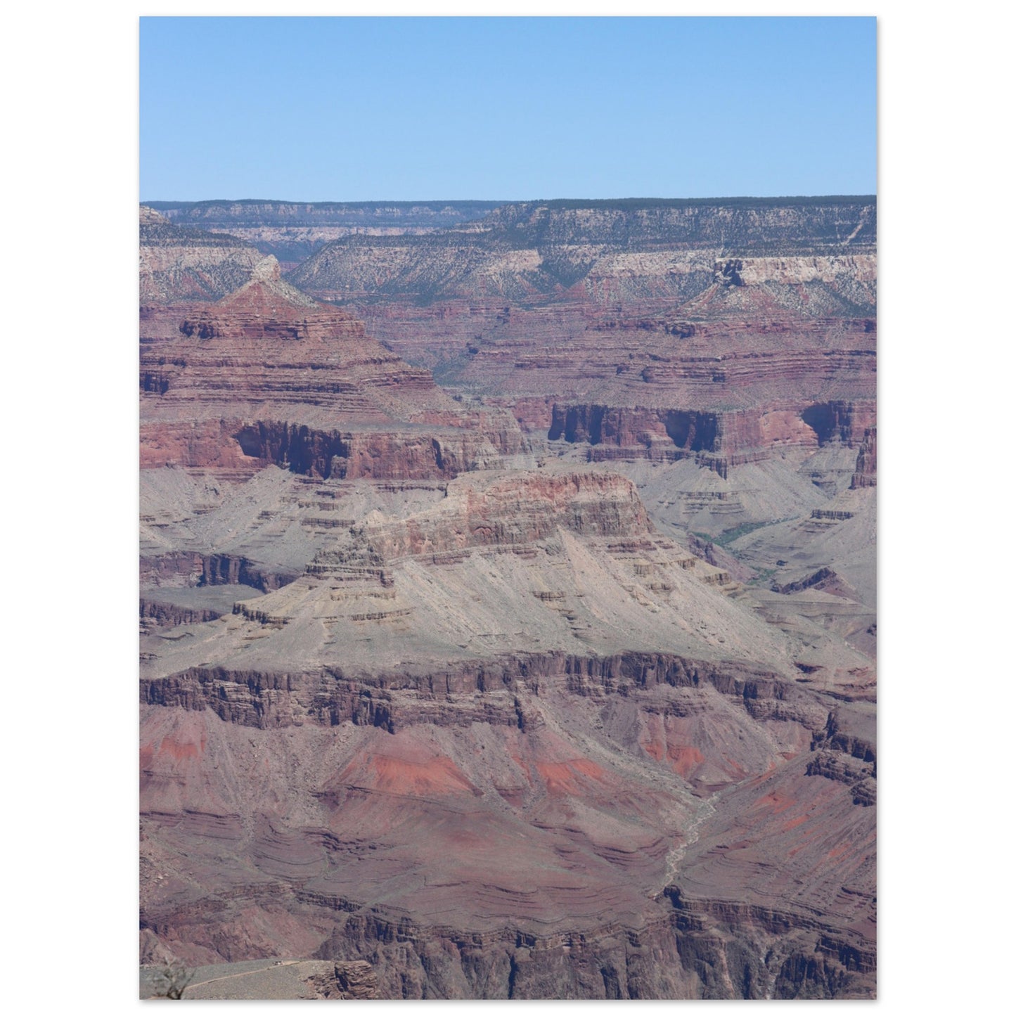 0ff86726-3baa-4f35-8ae4-4ddbb2838a82