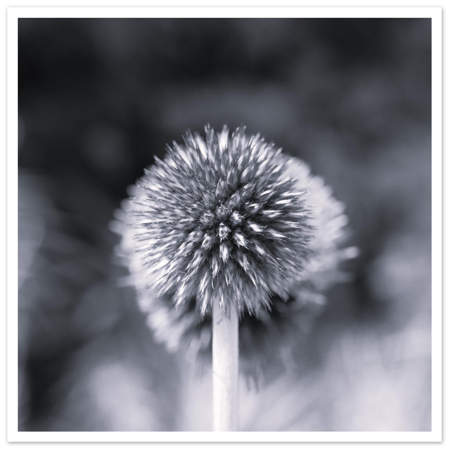 101923b9-18df-4ff8-ad0a-60cda4090a97
