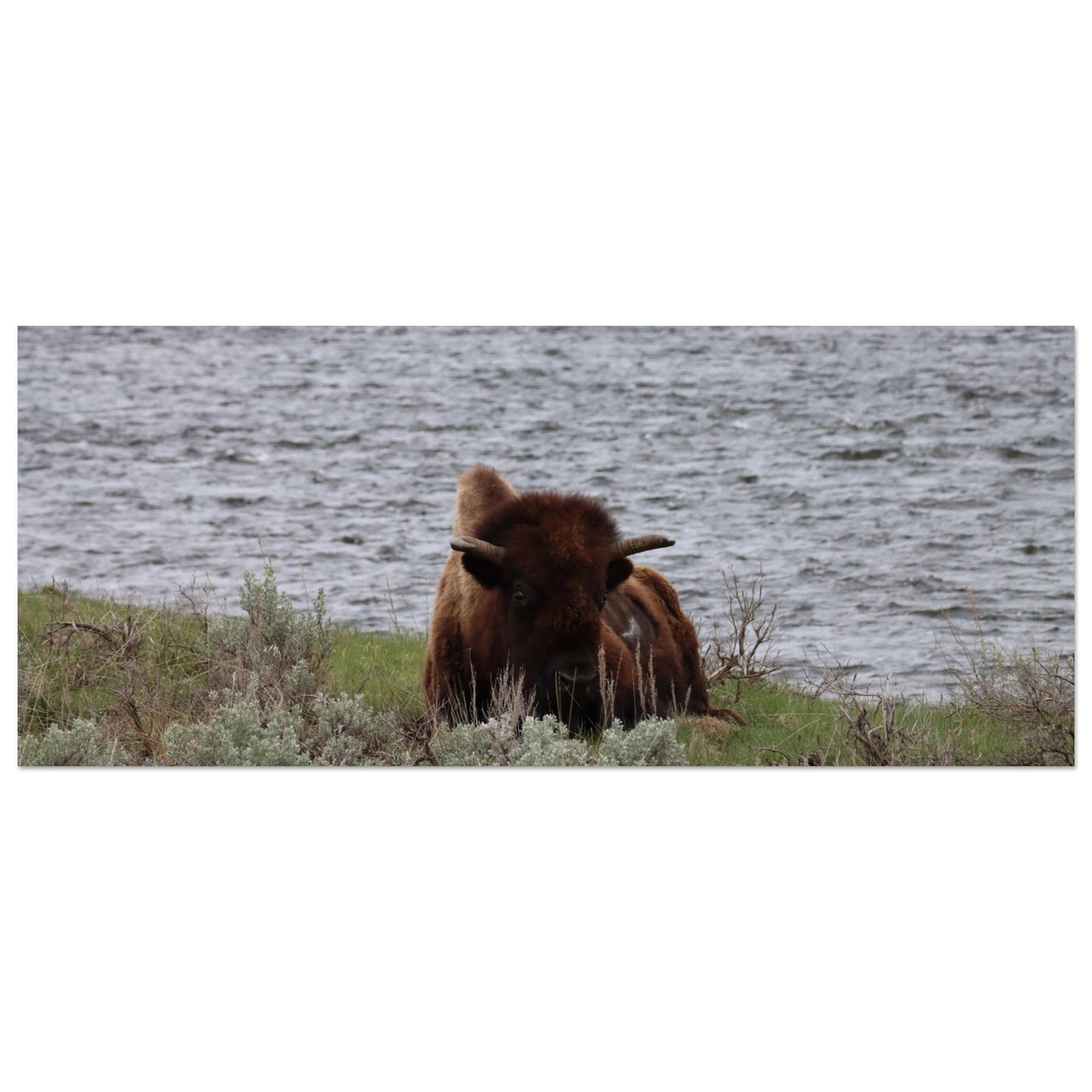 102072cd-d795-4e86-8ea4-c10a5b5a73cb