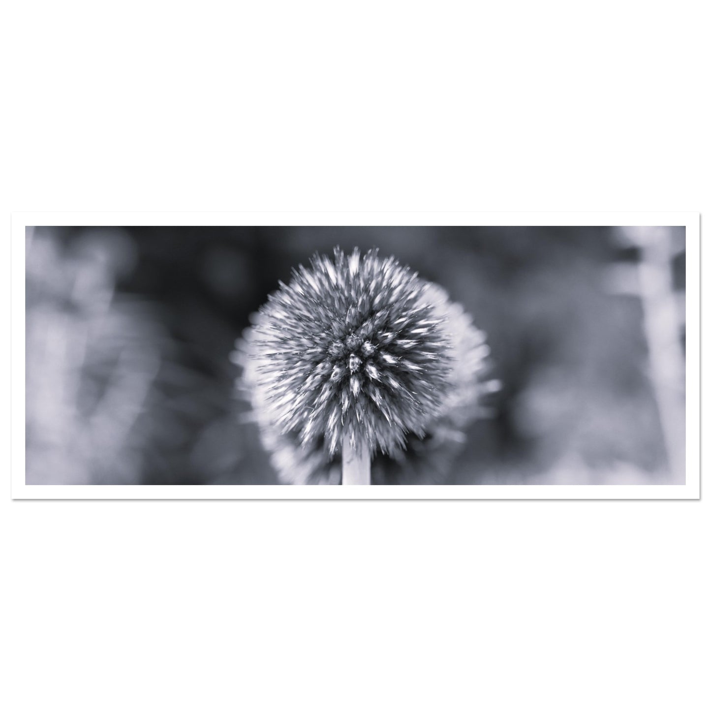 104fd787-fcc2-4021-b929-24ff2f2b13eb