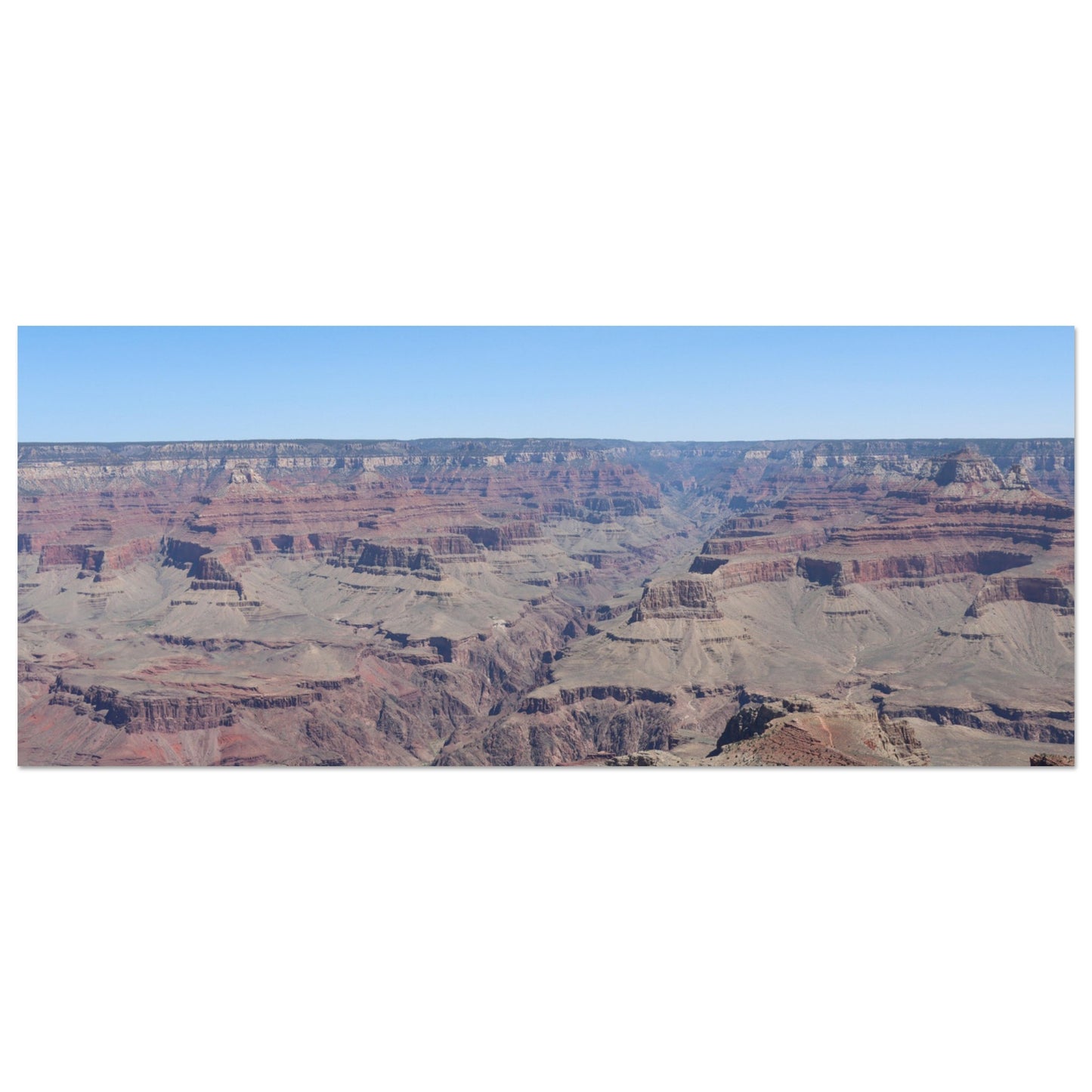 10c33f2e-e831-44f9-bc8b-a42ea04539bd