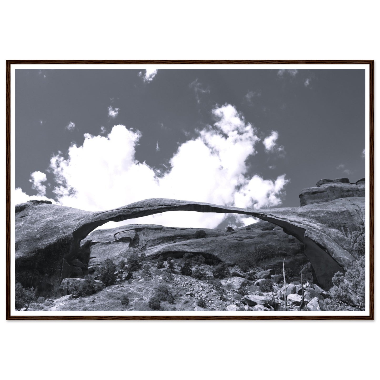134809f6-ca40-44b7-ba30-106876dc23cb