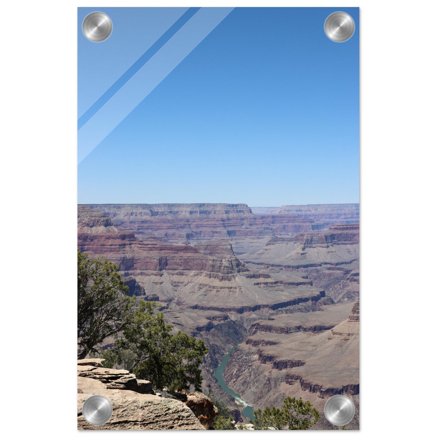 14e4b204-235a-4e54-b774-cb541af73913