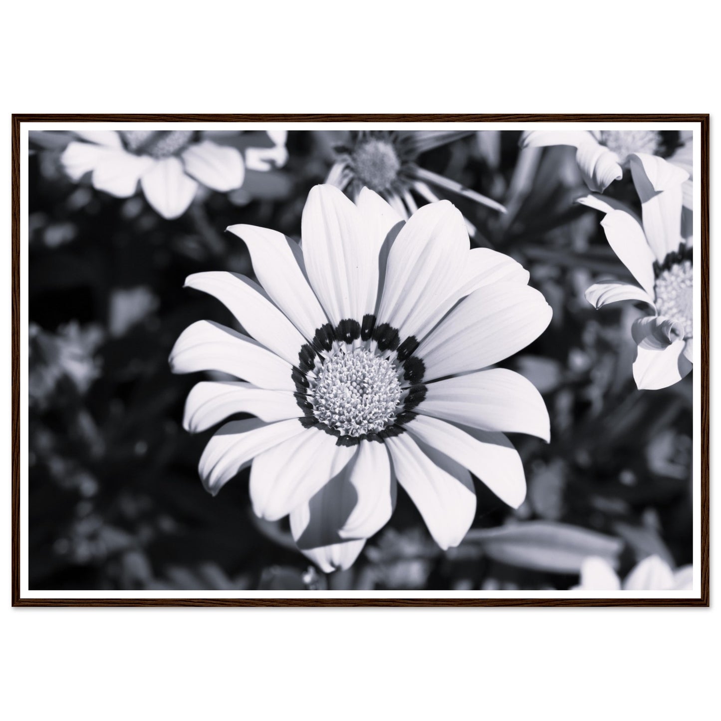1528f858-978b-44d7-899e-fe4735a95eeb