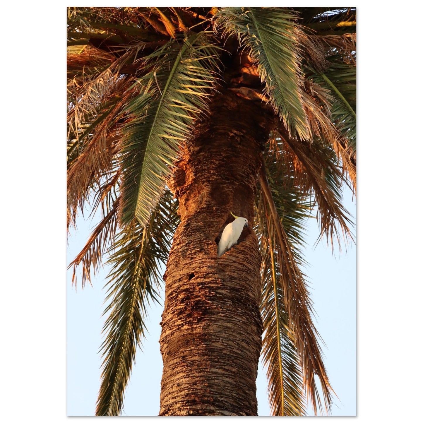 1561661f-8554-466e-8726-fcd4fdb1bf6c