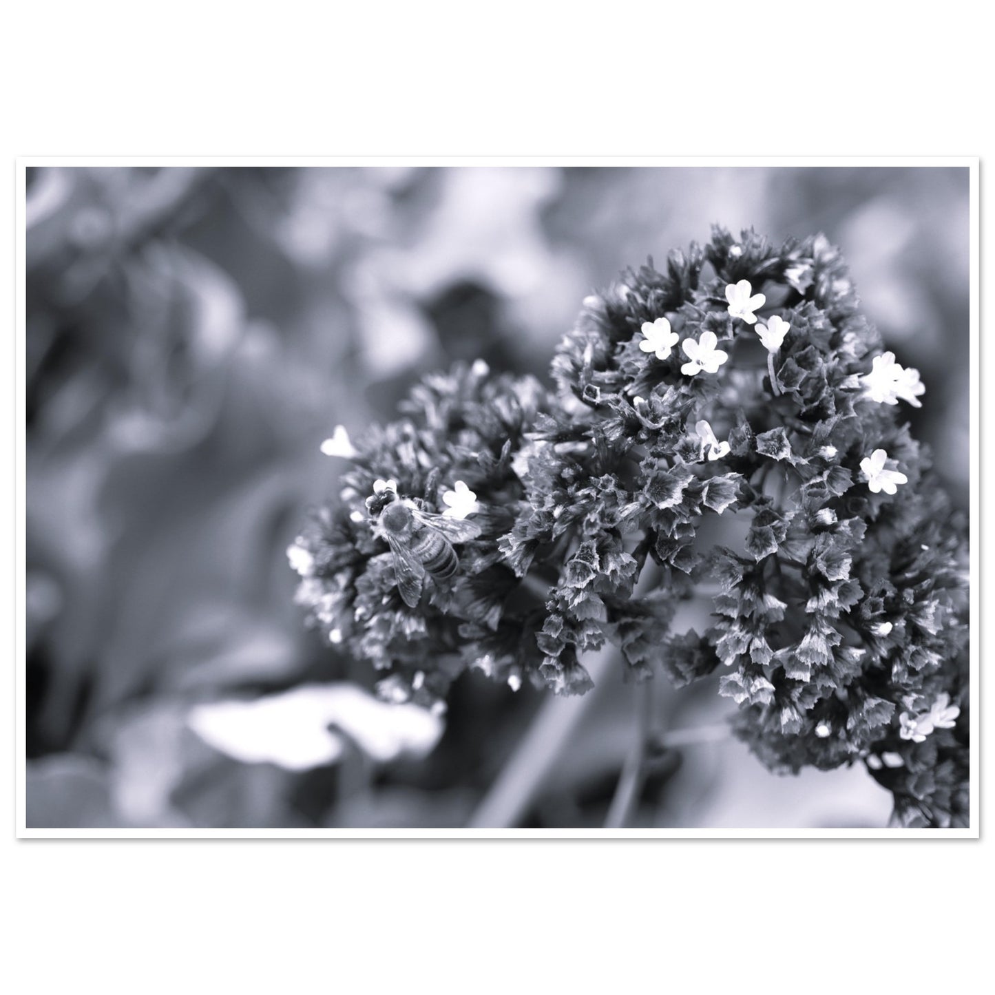 1562fb59-03ec-49df-a6f7-bc3bd14be688