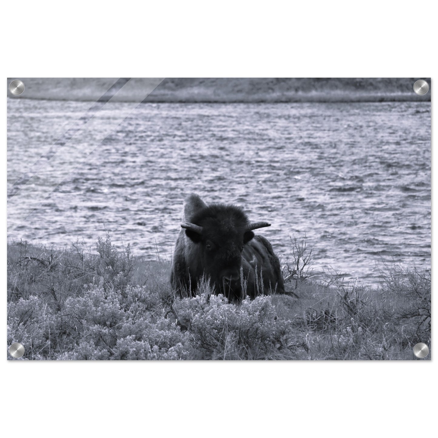 19321b49-af8d-4923-9ddb-ac16092b19d1