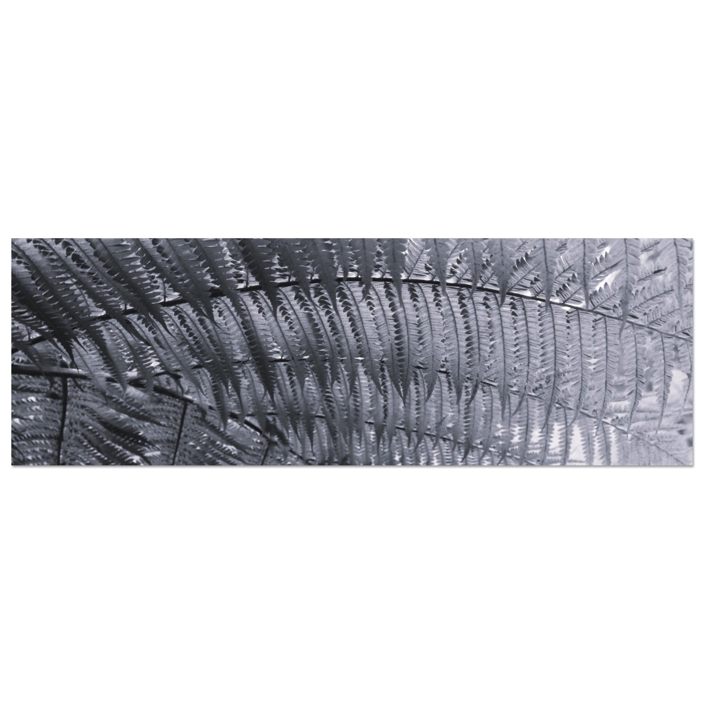 199697b3-dd57-4451-b3f0-10493c0670c0