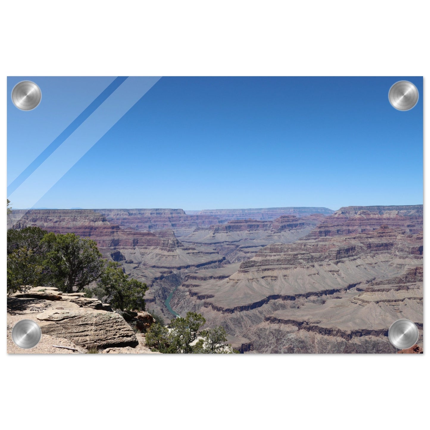 19a1b6d5-da0a-4626-83e8-ee79058c12cc