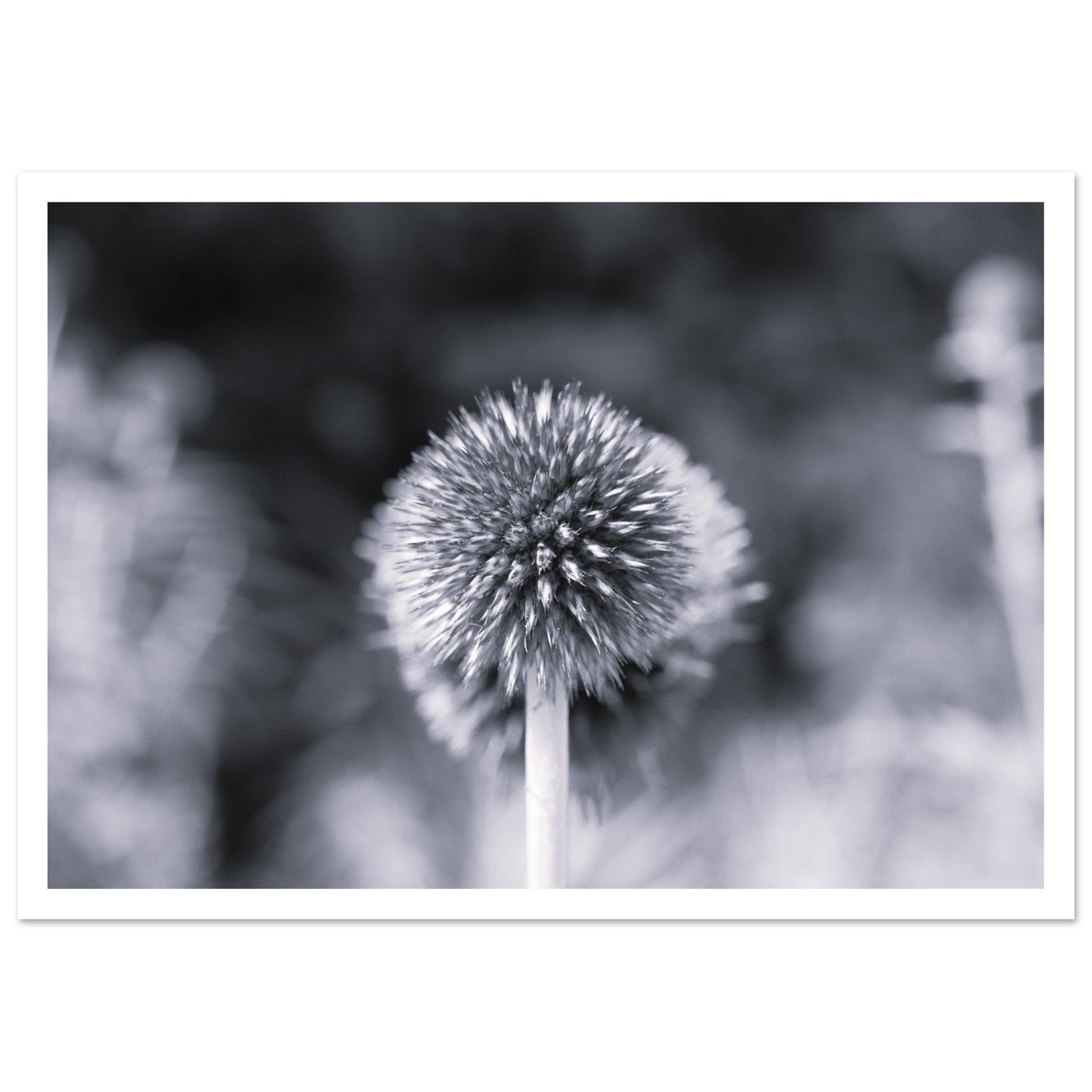 1cbd48f2-f99d-40cb-91fe-d7b46423f880