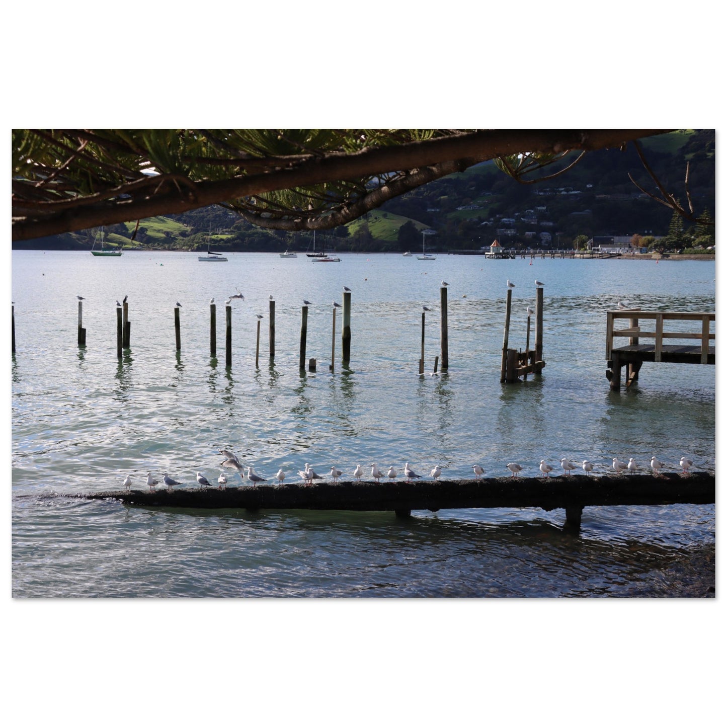 20c1d362-3f56-43df-b680-86321249f930