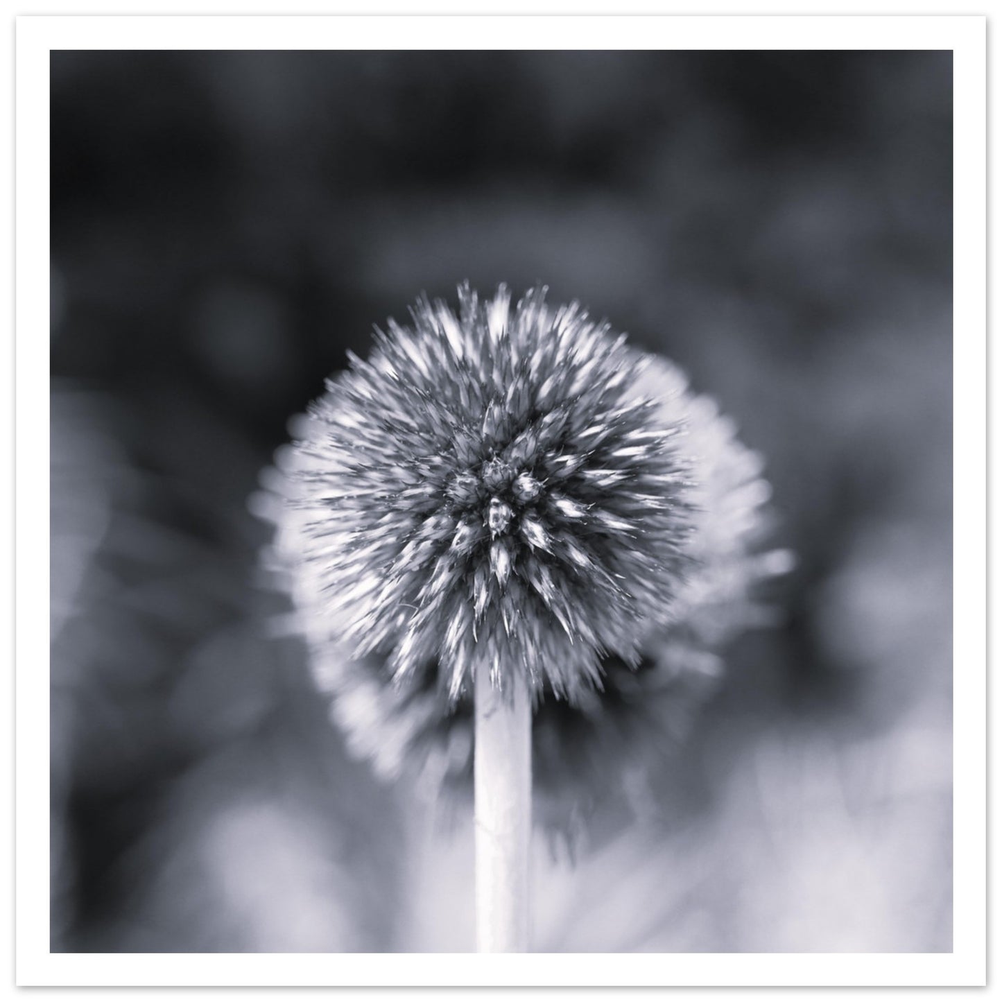 2102c608-b4b7-4be4-8efb-58964336f57a