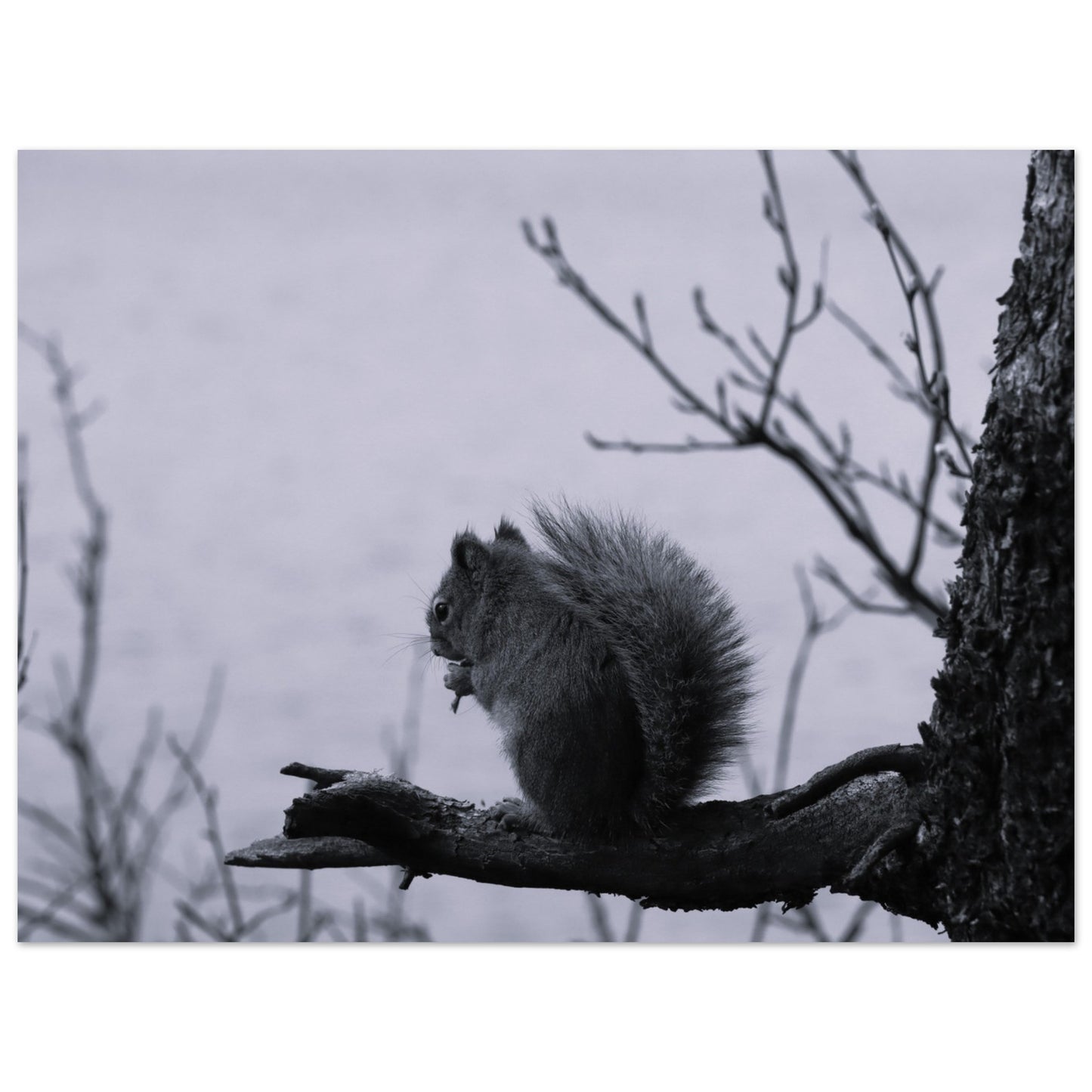 22b638bd-c557-4fba-913e-fd307c45f3ba