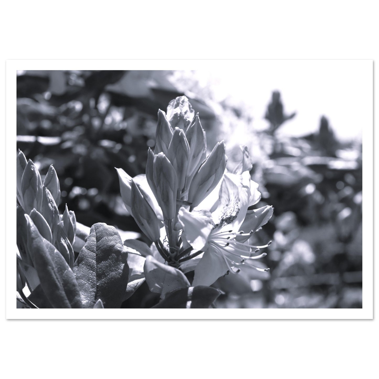 23b03b31-b94e-4801-97ea-fad417d2fd92