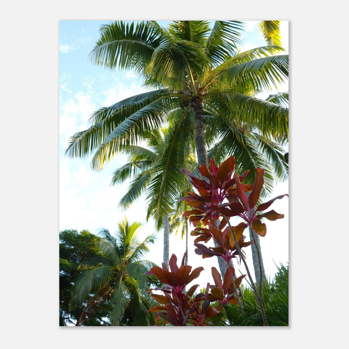 26fc19d2-f736-4bbb-a608-eb2e6e8c1172