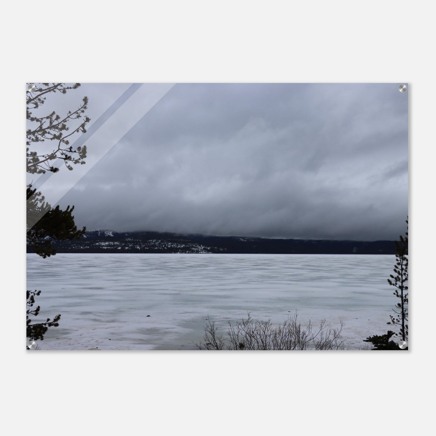 27019c99-b63d-483b-90c5-c2bb7a9ca8ea