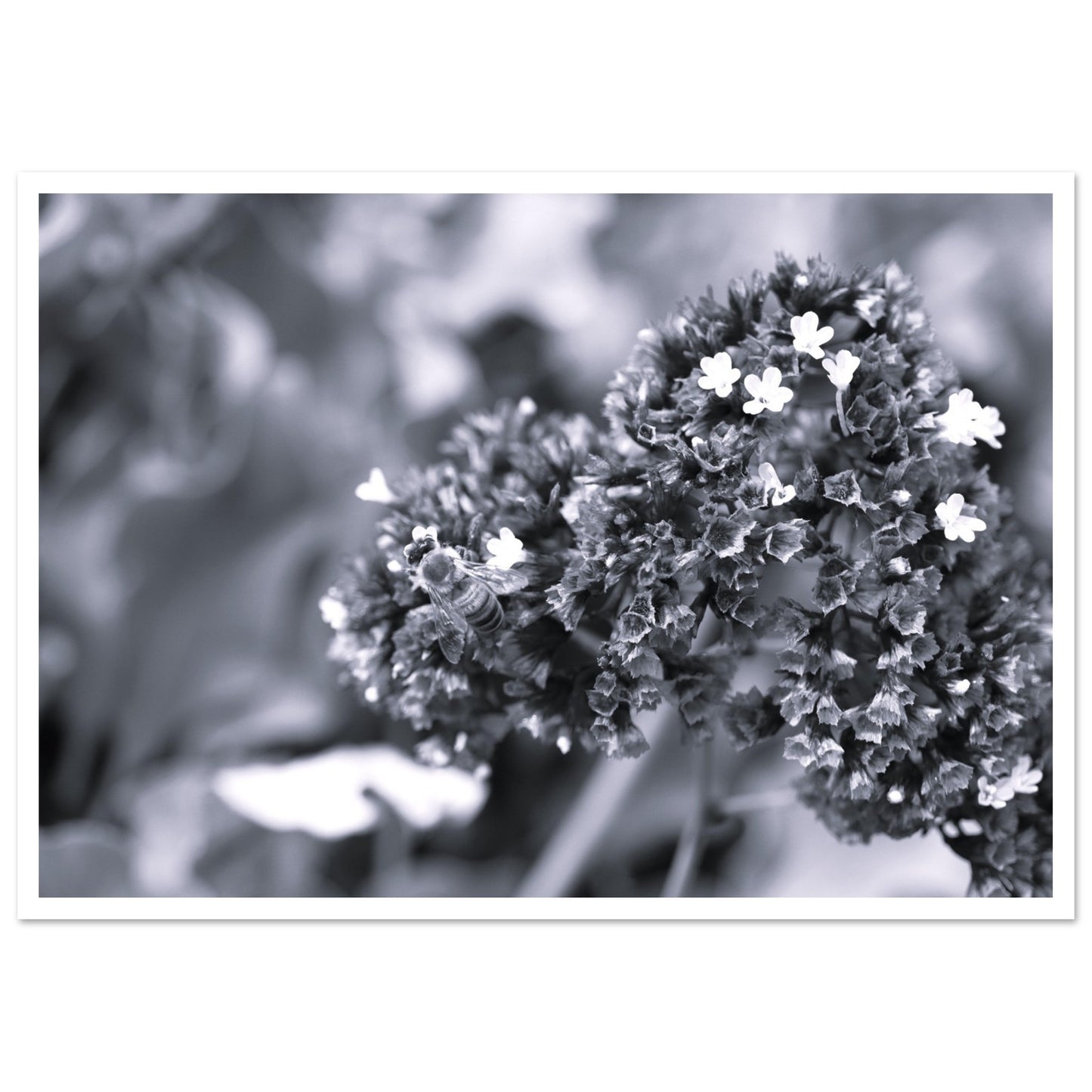 2a01d672-b726-4013-b753-a5fc288a4be8
