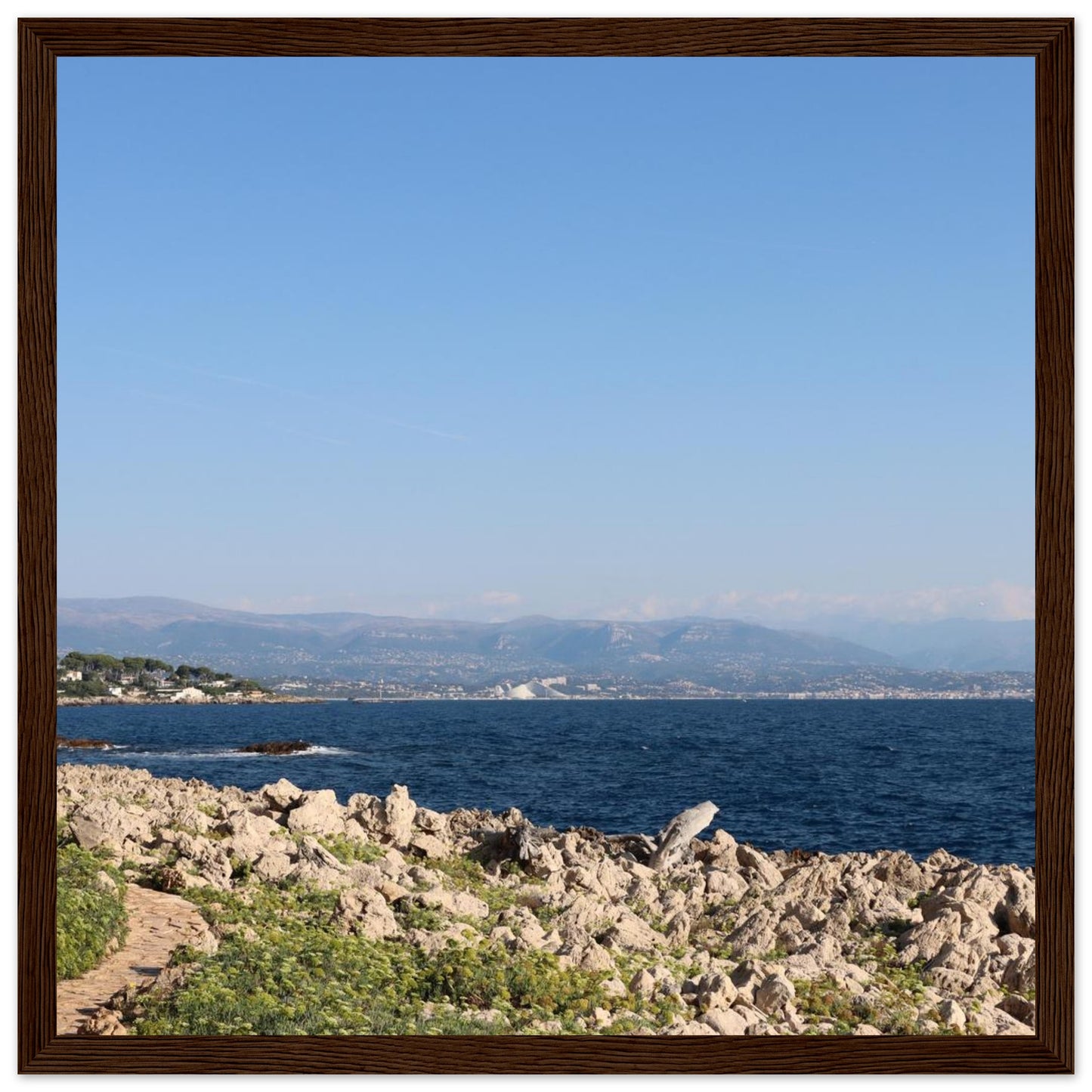 2ceaed28-f1eb-4225-bd08-c26ca9c0ac06