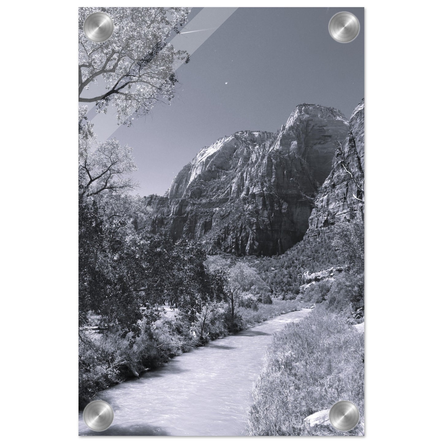 2df0fc0c-f77e-4789-ac2f-e5759ae72df7