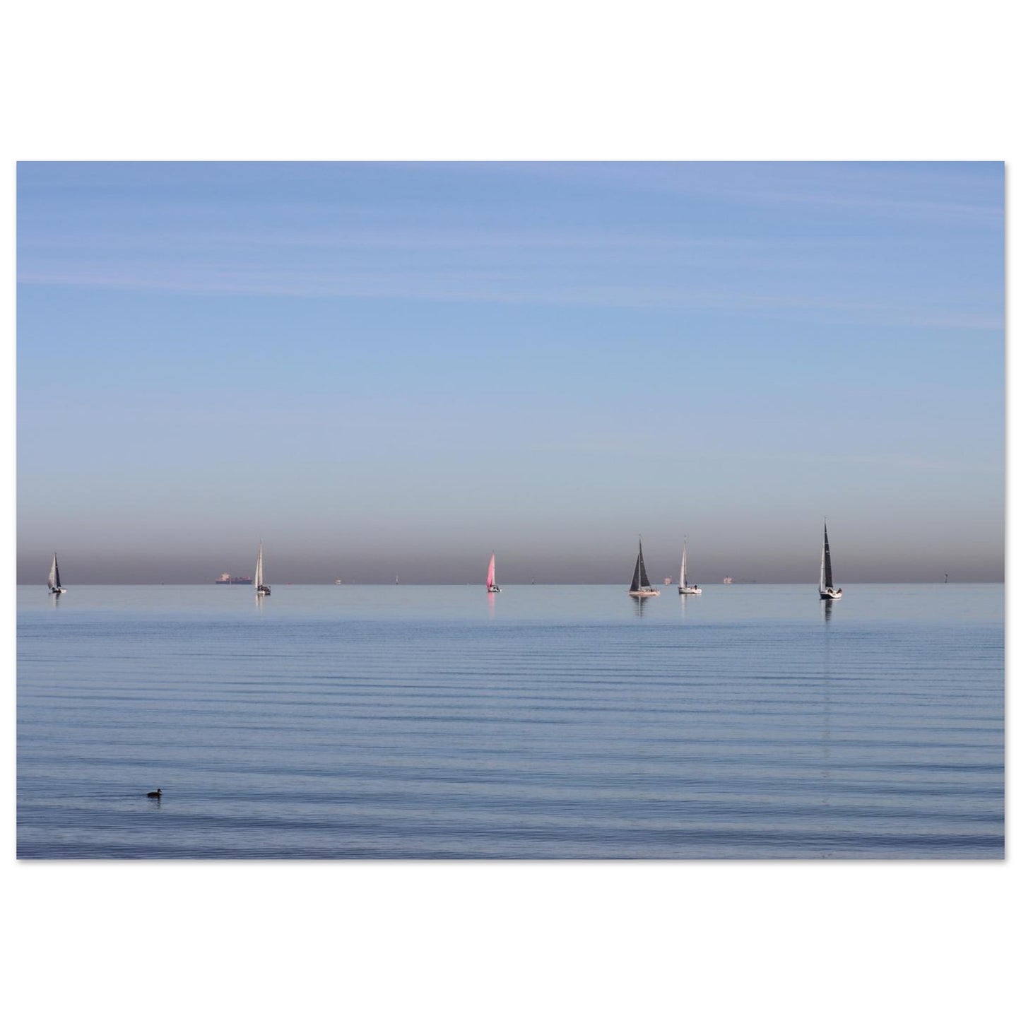 2e295f19-b0e0-4801-a9d1-d273d9e7a949