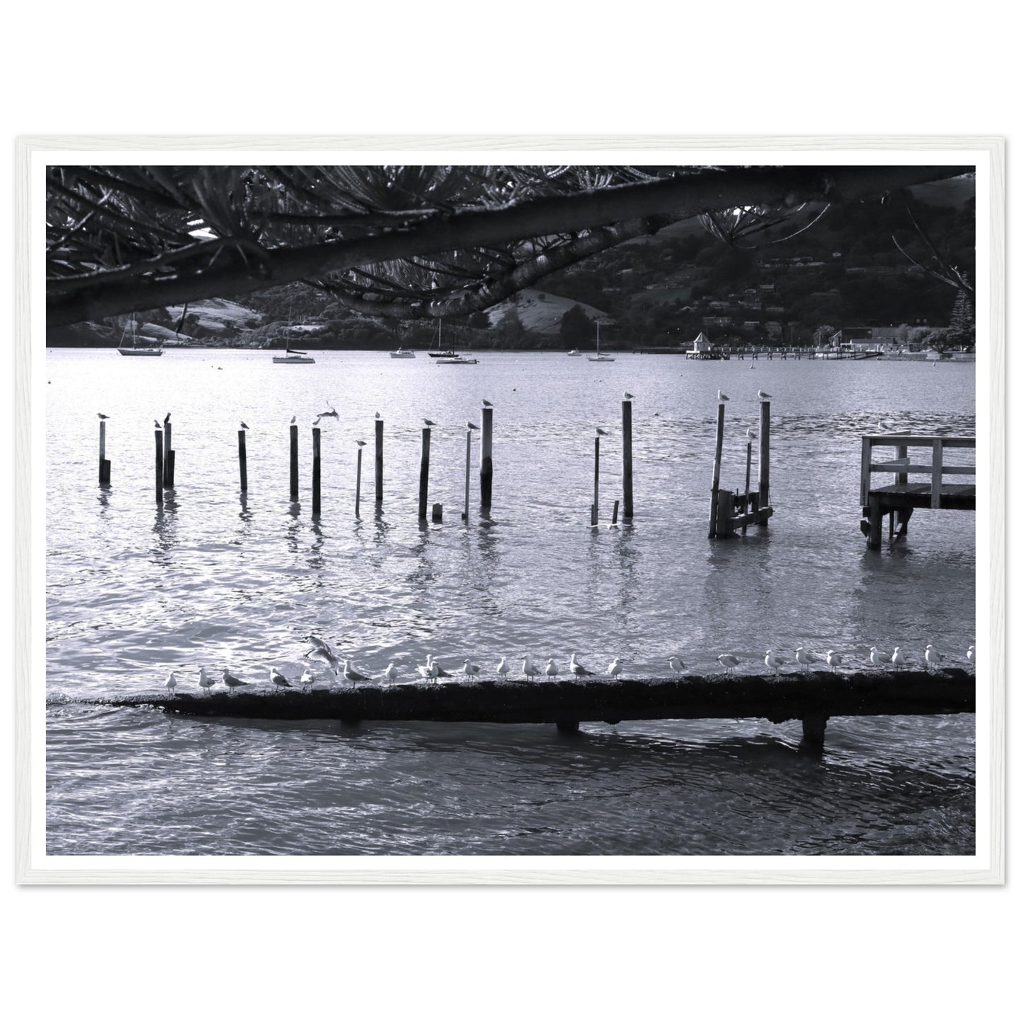 32de0e3c-9707-4807-b72b-993c1077f1cc