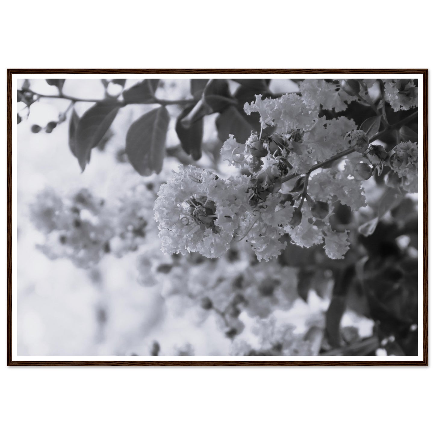 39a4c145-f1bf-463b-8c9d-201159223f2f