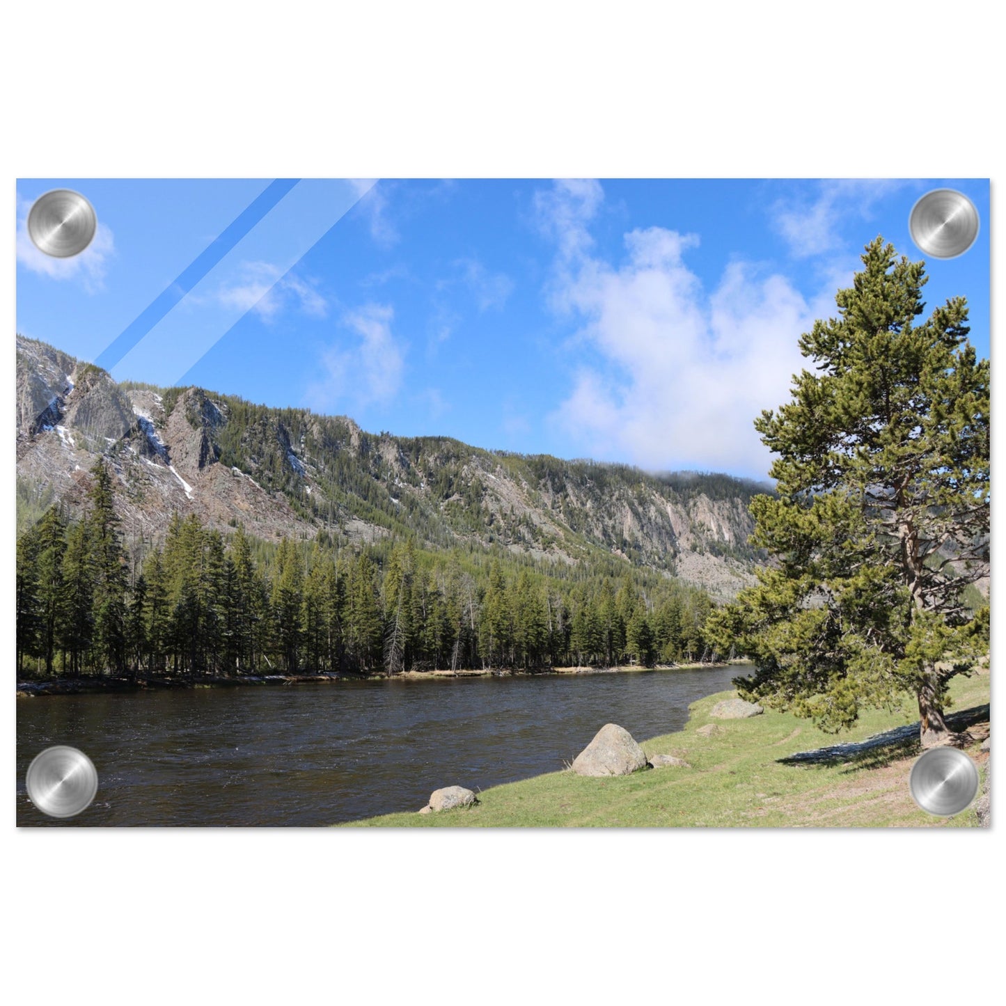 39c1cdad-a810-4c6a-b61e-5fe4ca28b622