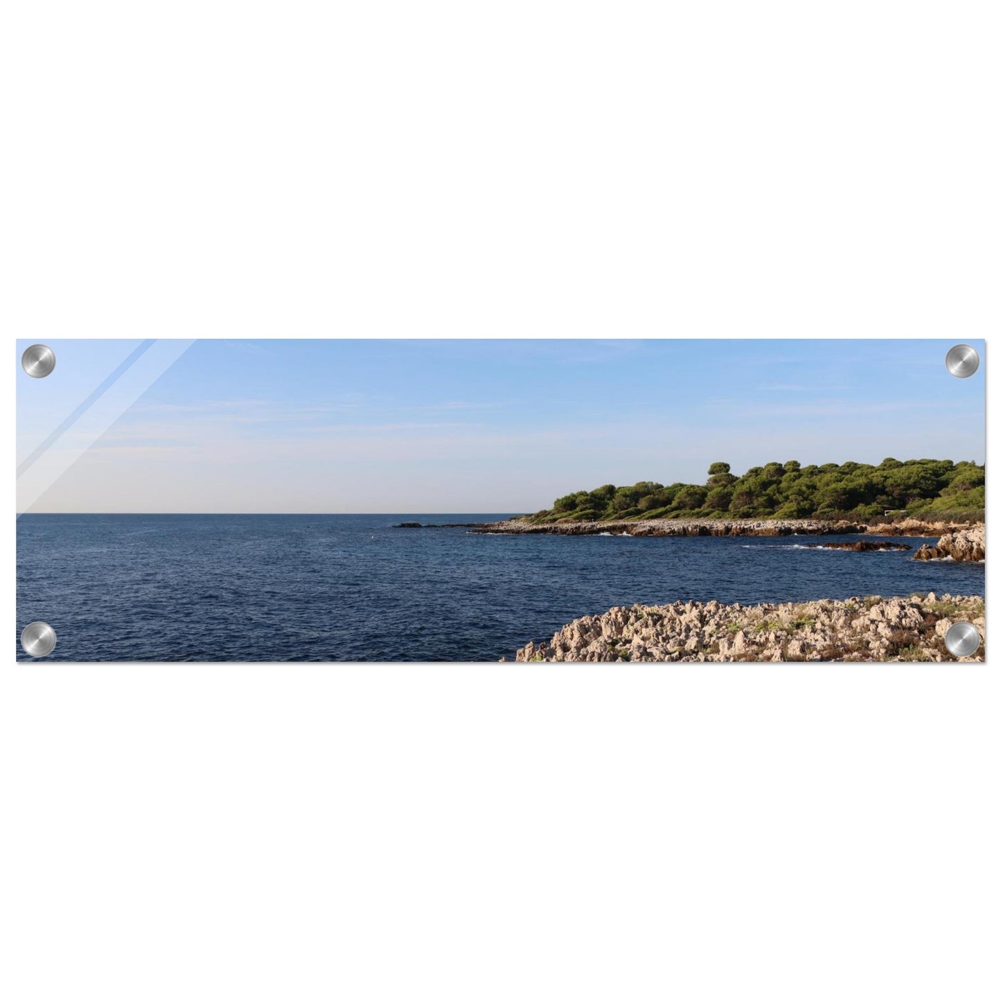 3b1948f9-b333-41e8-b650-6883080f6a18
