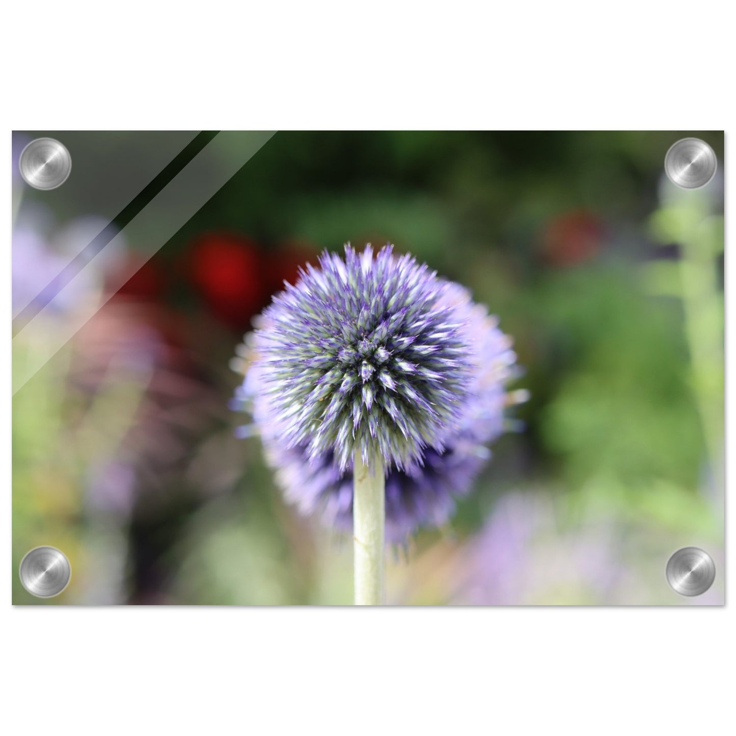 3dc25829-1dc0-4dcc-9d97-2ad82db448b2
