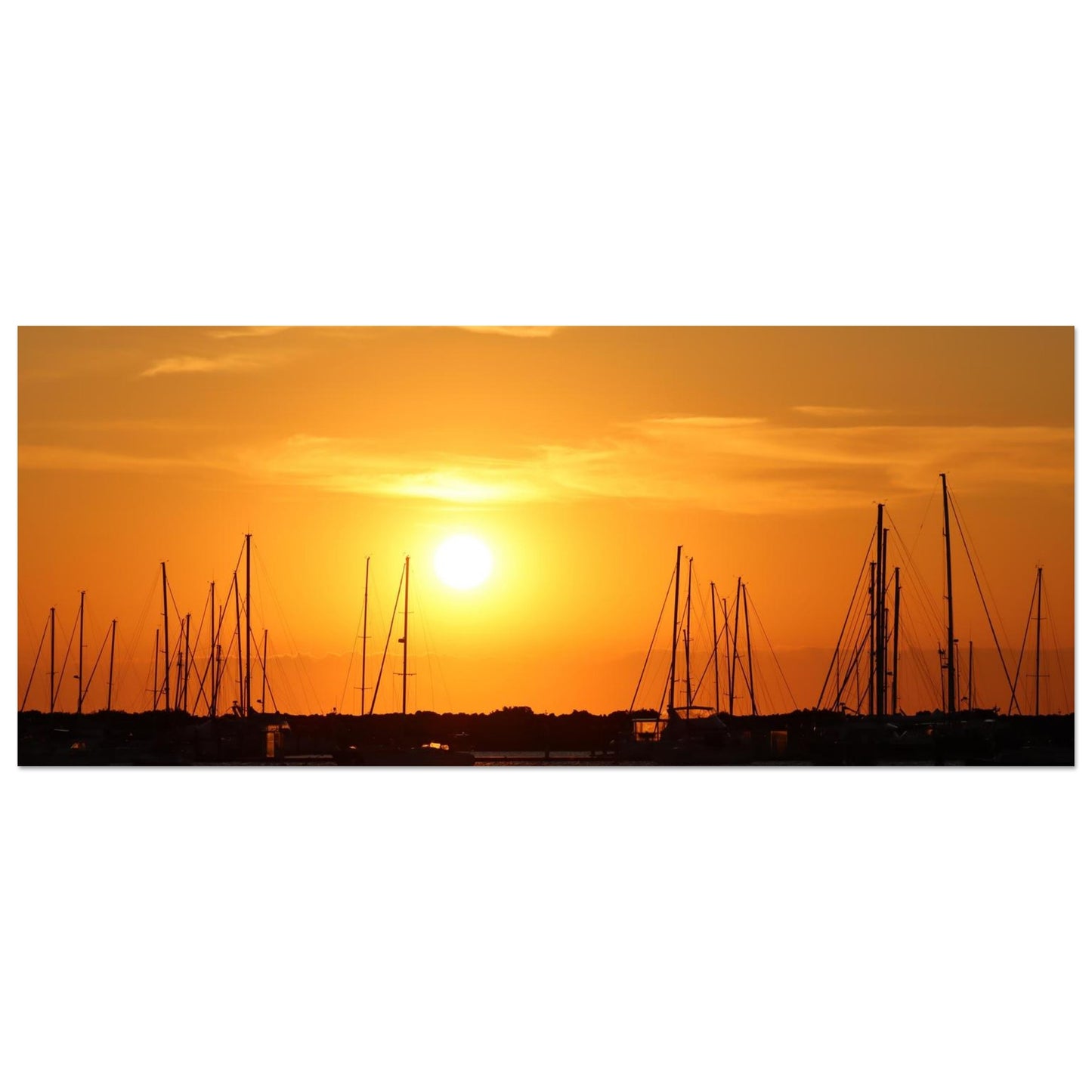 3e3ba02a-1a41-4933-bc3d-0a8cdab71f07