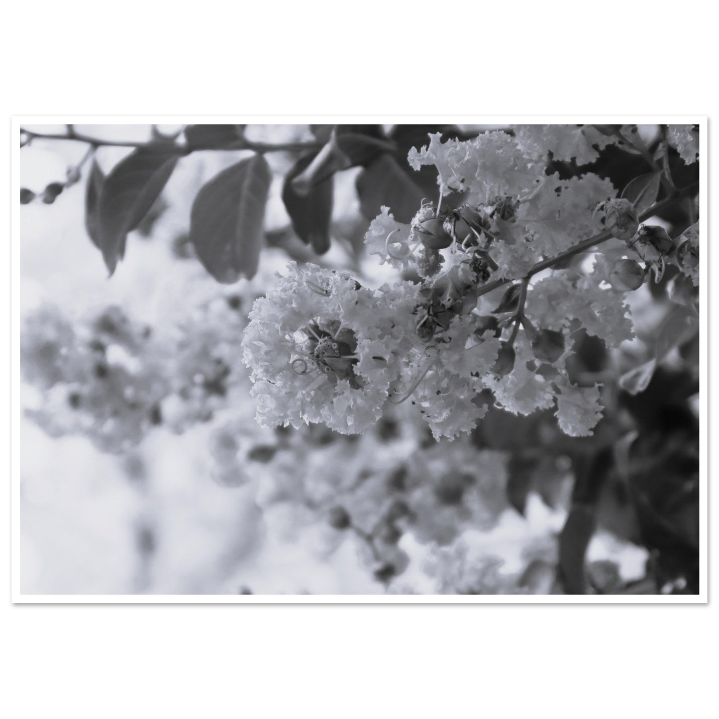 4037efc7-f5d4-45d8-ab22-f5864cbea435