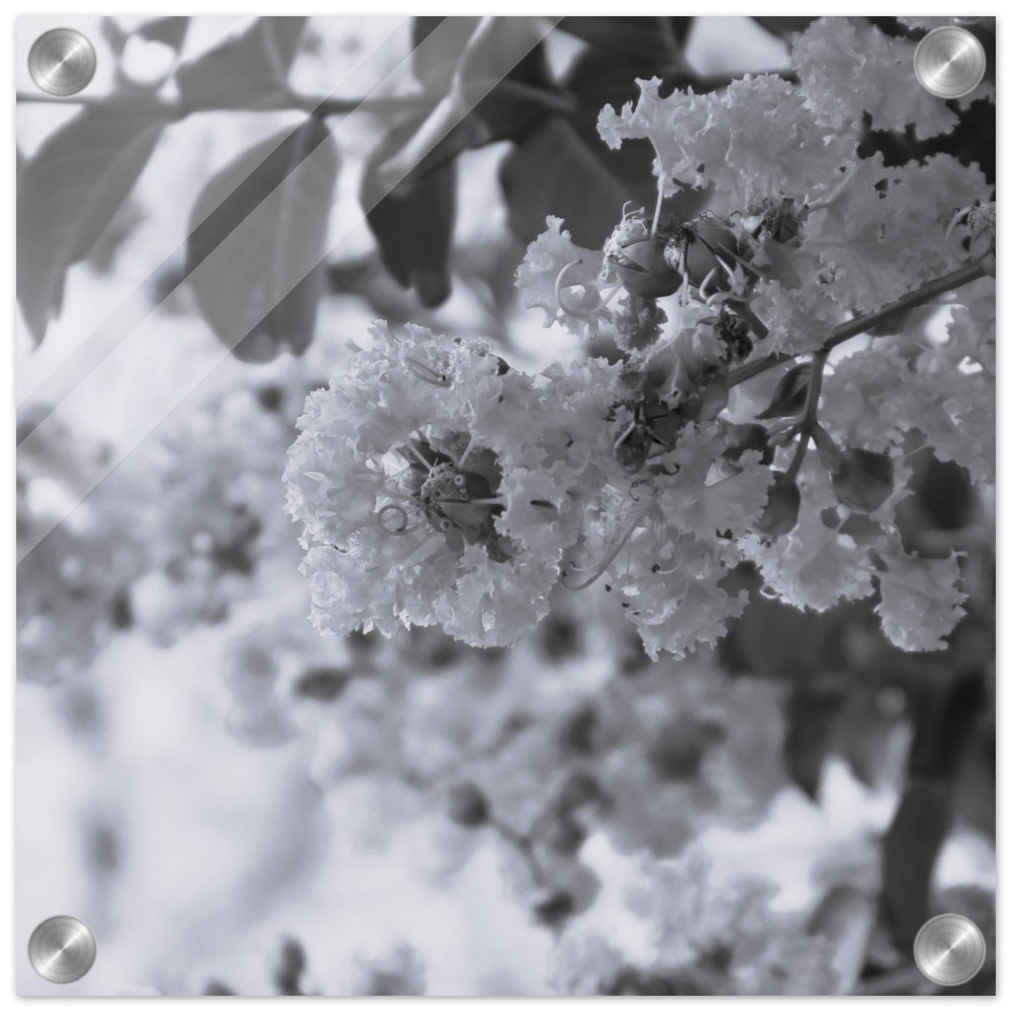 43022c36-991b-4092-8f34-3ff3f2d29789