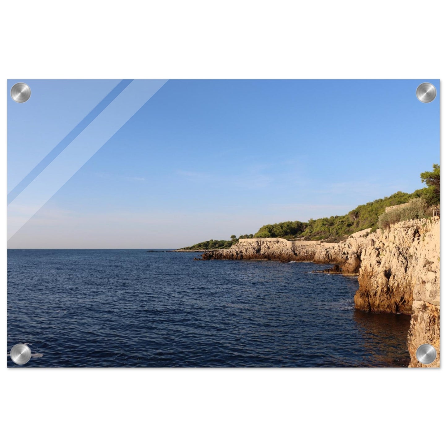 44766308-fbbc-4389-b33f-b71eb86b9d0f