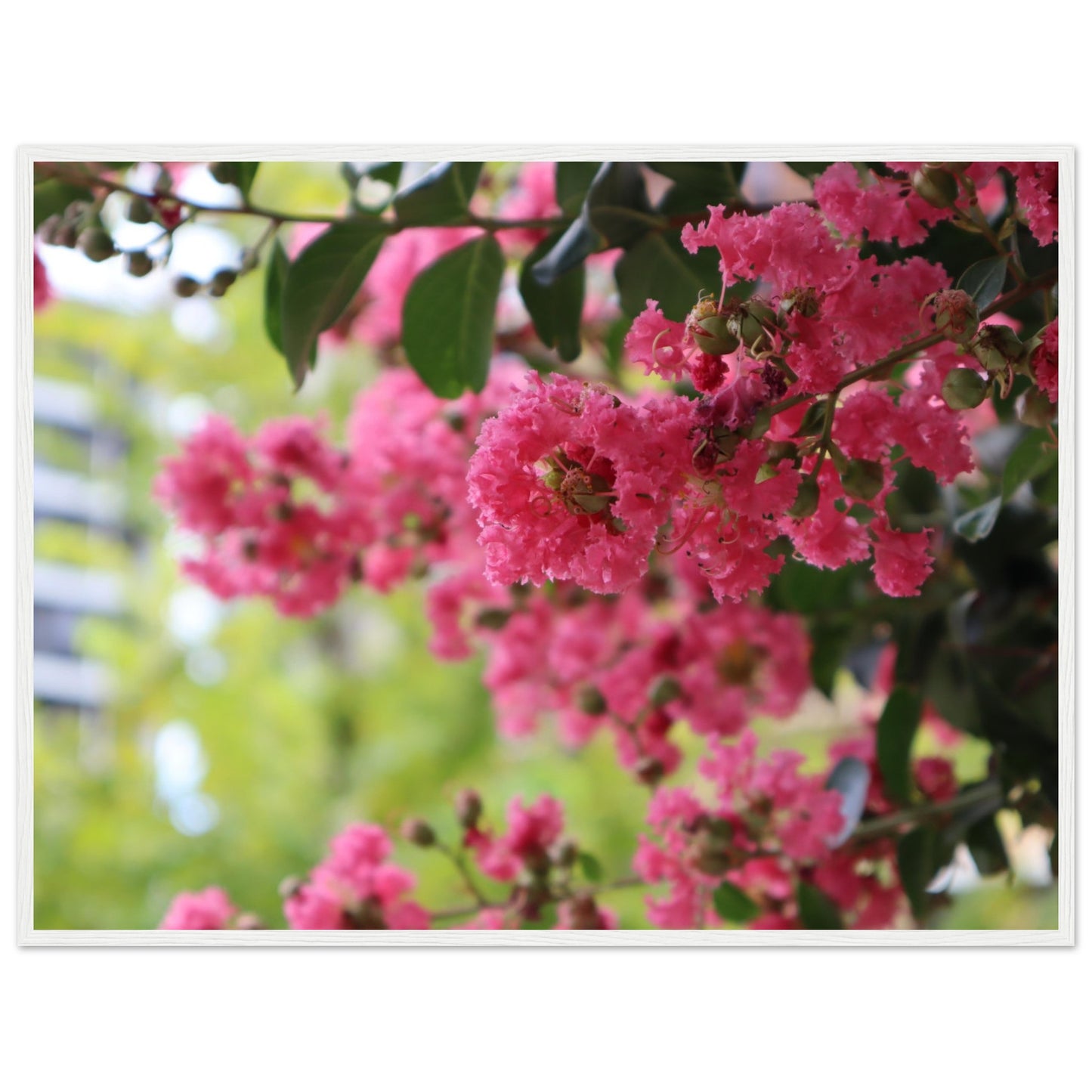 47c9f815-e41b-4a07-8483-45d6657eef9c
