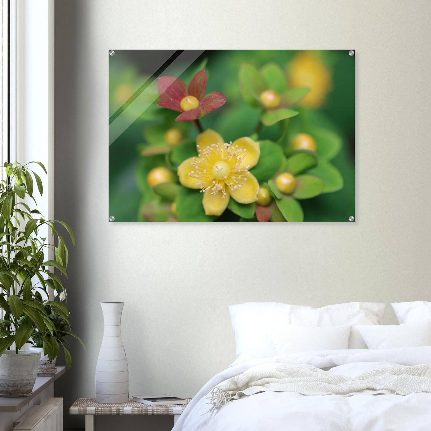 491e3a06-4091-4e4f-8eed-69c3652a8498