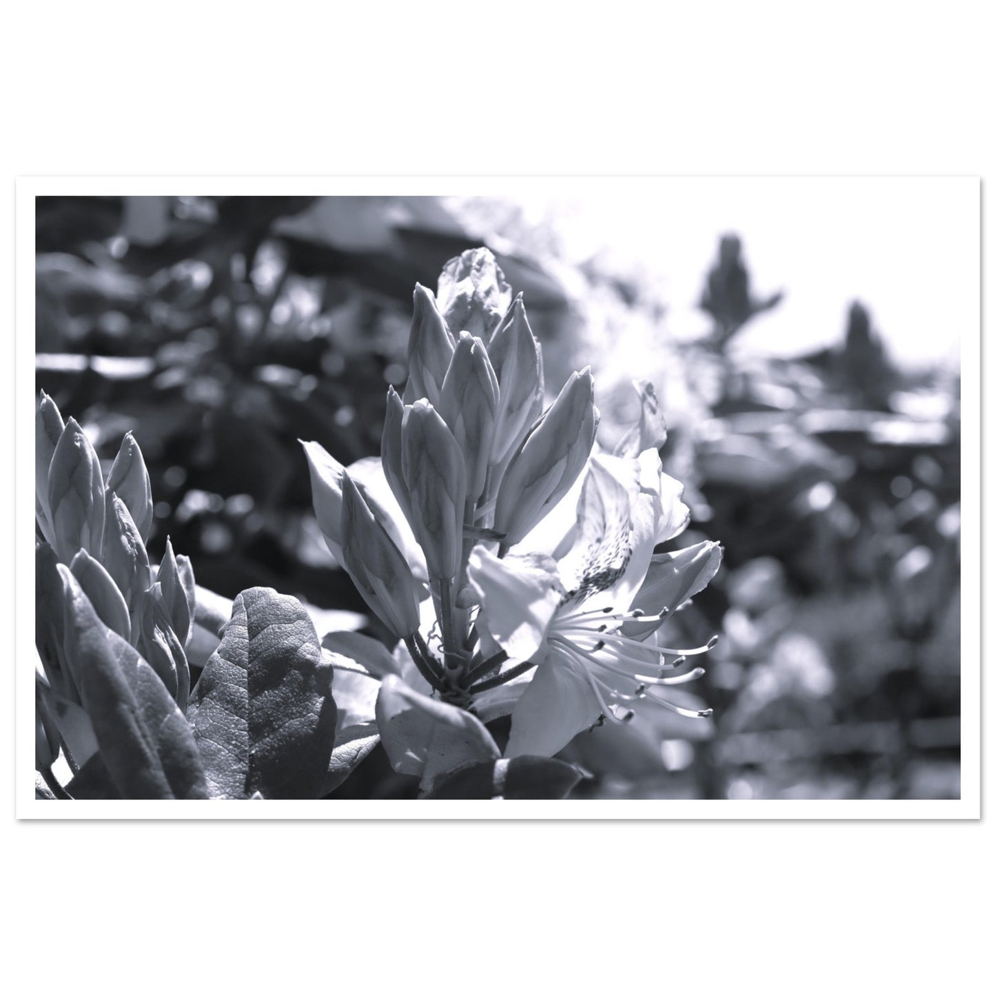 49d05f32-87f7-4363-ad31-f626e7c64862