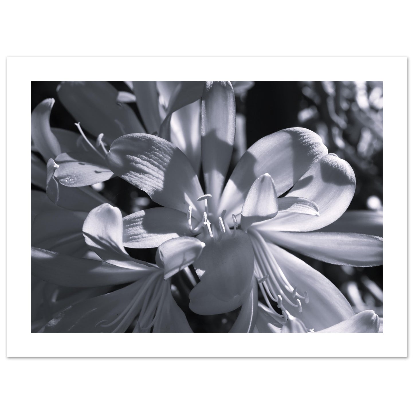 4cf26701-f29e-437e-863a-cdf0ef611023